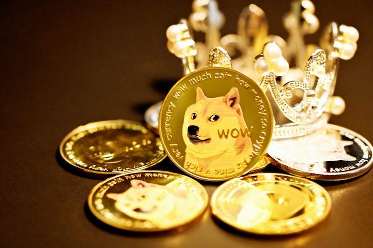 DOGE币价能涨多高?2025年狗狗币达到0.5美元的概率有多大? - php中文网